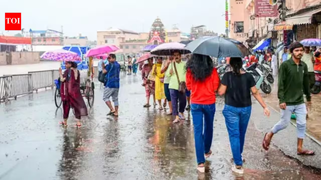 Uttarakhand schools closed September 1? Check district-wise holiday status amid heavy rain forecast