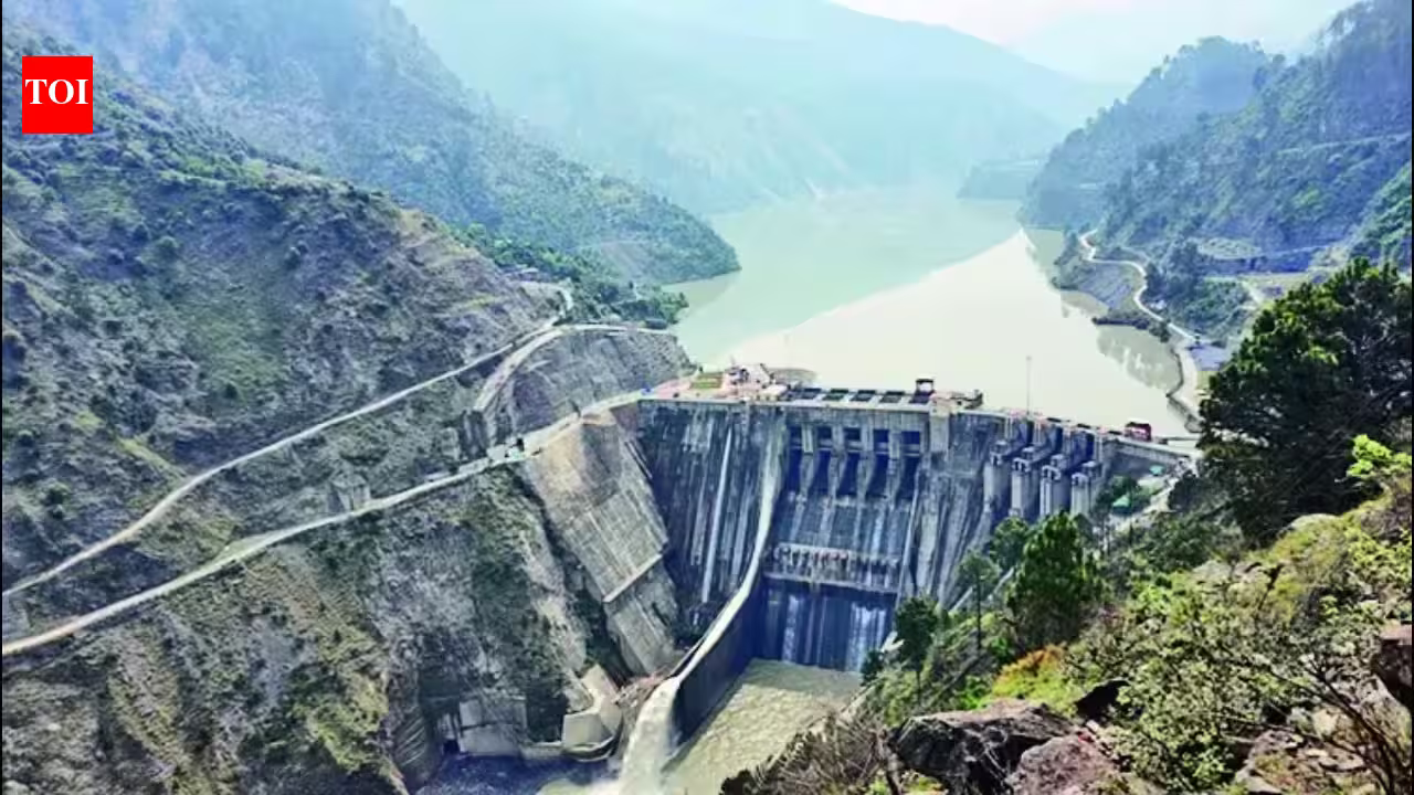 'No jurisdiction': India rejects 'illegal' Court of Arbitration's Indus Waters Treaty award | India News