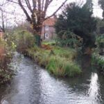 River Pang fails water quality test by Environment Agency