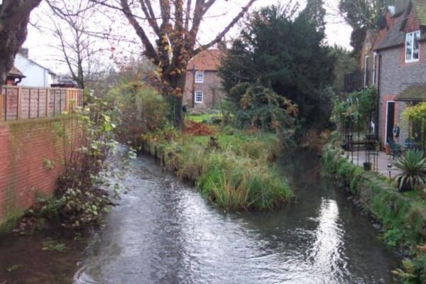River Pang fails water quality test by Environment Agency