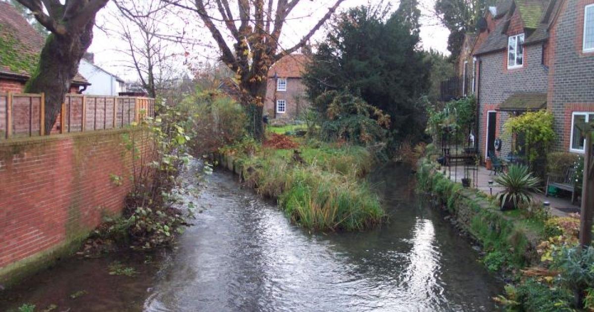 River Pang fails water quality test by Environment Agency