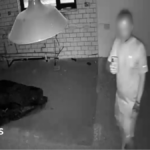 Sandwich Wildlife Park calls for help with break-ins