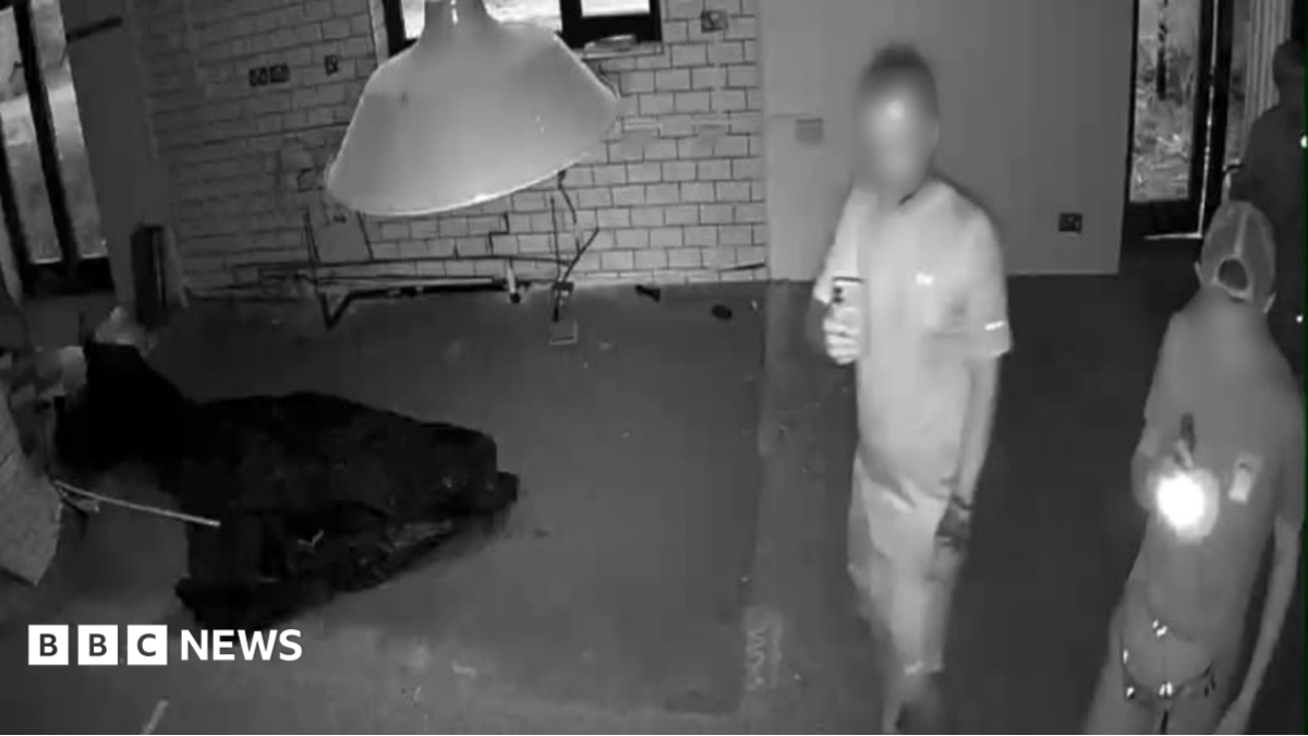 Sandwich Wildlife Park calls for help with break-ins