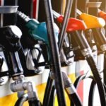 India’s Chief Economic Adviser Calls for Return of E10 Petrol
