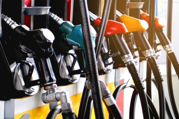 India’s Chief Economic Adviser Calls for Return of E10 Petrol