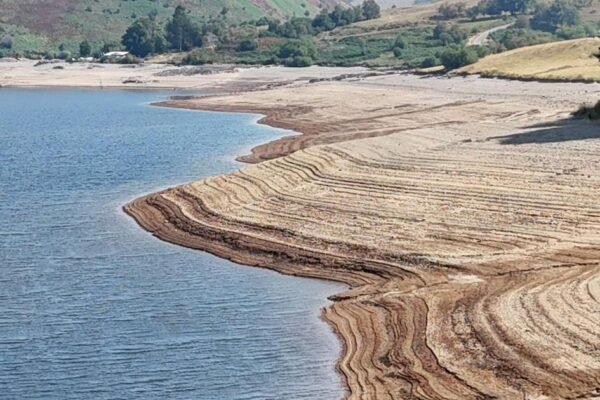 Agencies monitoring Llyn Clywedog under continued drought