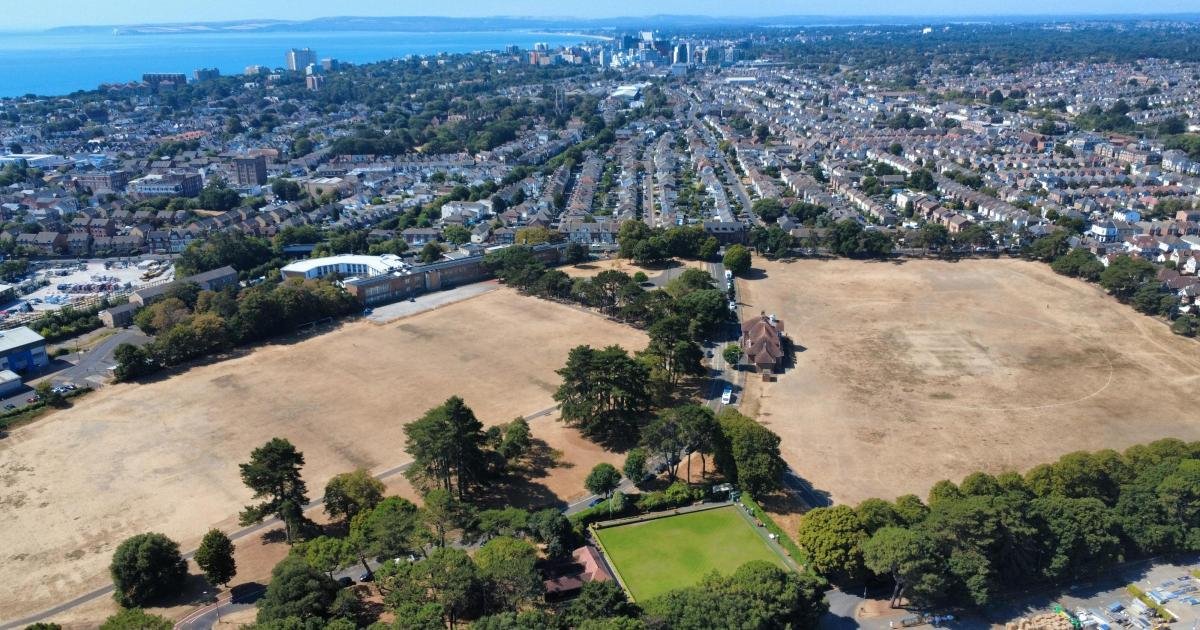 'This is what climate change looks like': Dorset in drought