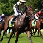 Prince Of India could have quick return to action