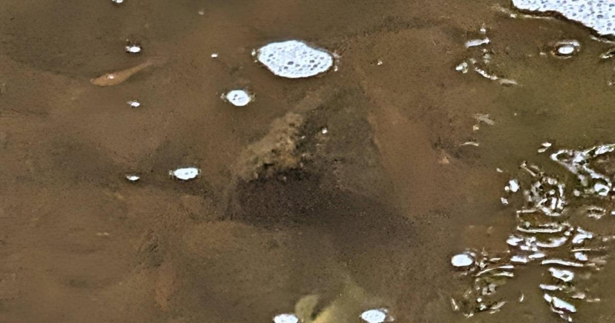 'Hundreds' of dead fish in River Tame after Greenfield fire