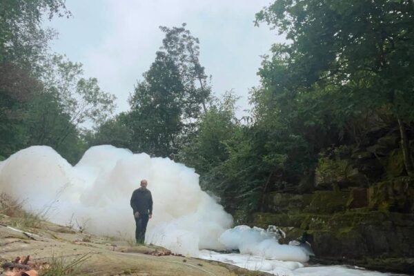 Environment Agency update on river after Greenfield fire