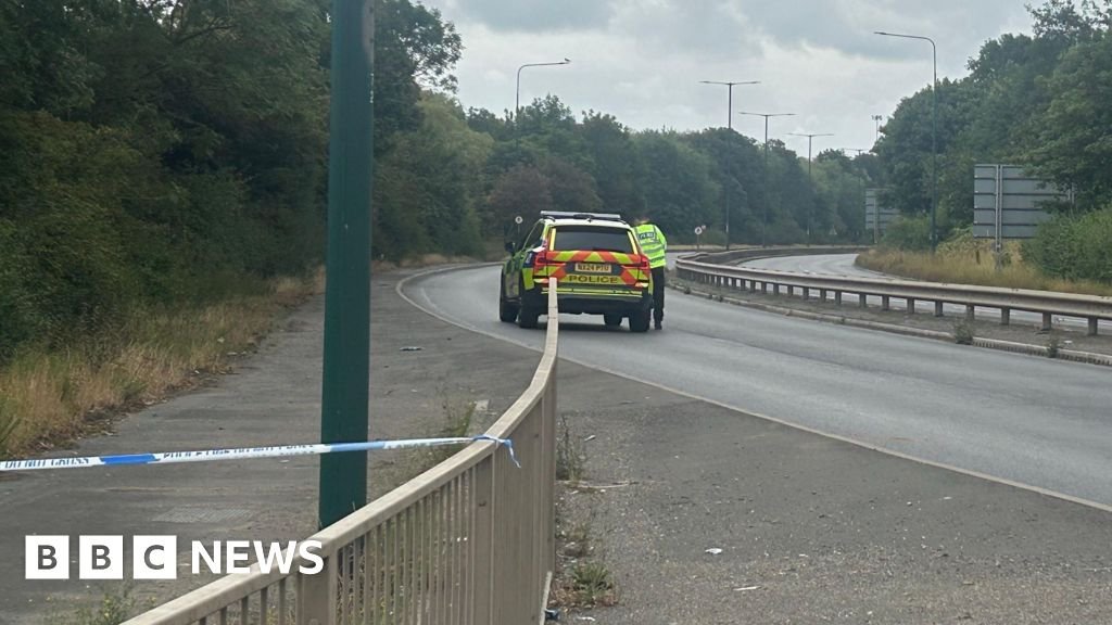 Multiple deaths after Teesside collision between police vehicle and car
