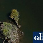 ‘Forever chemicals’ surge during pilot of Thames Water plan to combat drought | Water
