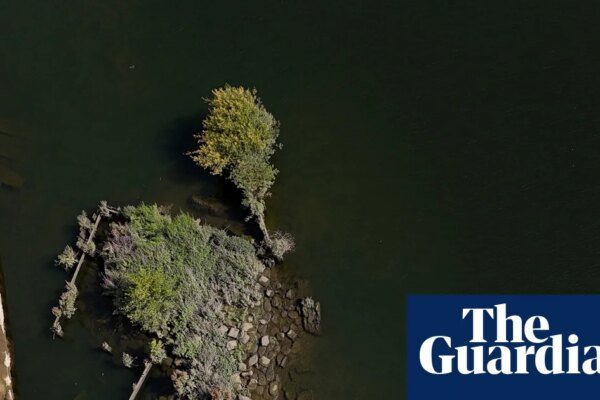 ‘Forever chemicals’ surge during pilot of Thames Water plan to combat drought | Water