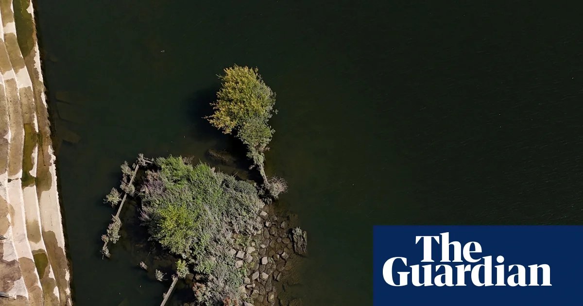 ‘Forever chemicals’ surge during pilot of Thames Water plan to combat drought | Water