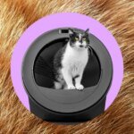 Whisker’s AI-powered litter robot thinks my cats swapped bodies