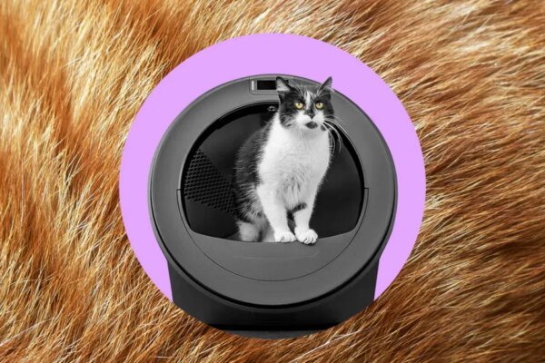 Whisker’s AI-powered litter robot thinks my cats swapped bodies