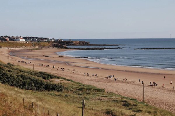 Keeping beaches clean doesn’t stop at nurdle clean up, public urged