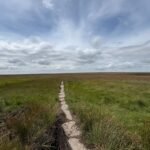 Innovative scheme to rewet peat providing protection from fire and flooding