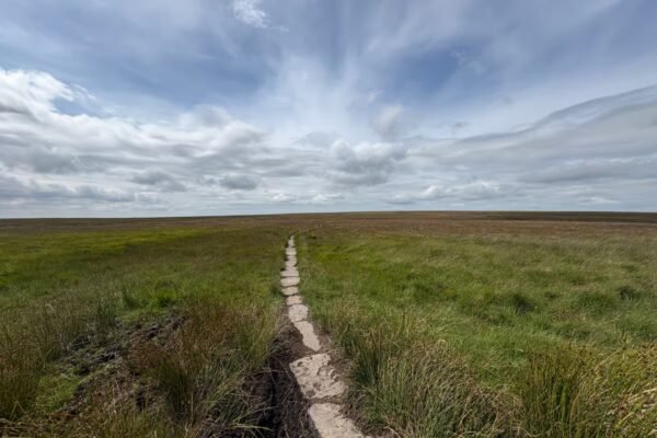 Innovative scheme to rewet peat providing protection from fire and flooding