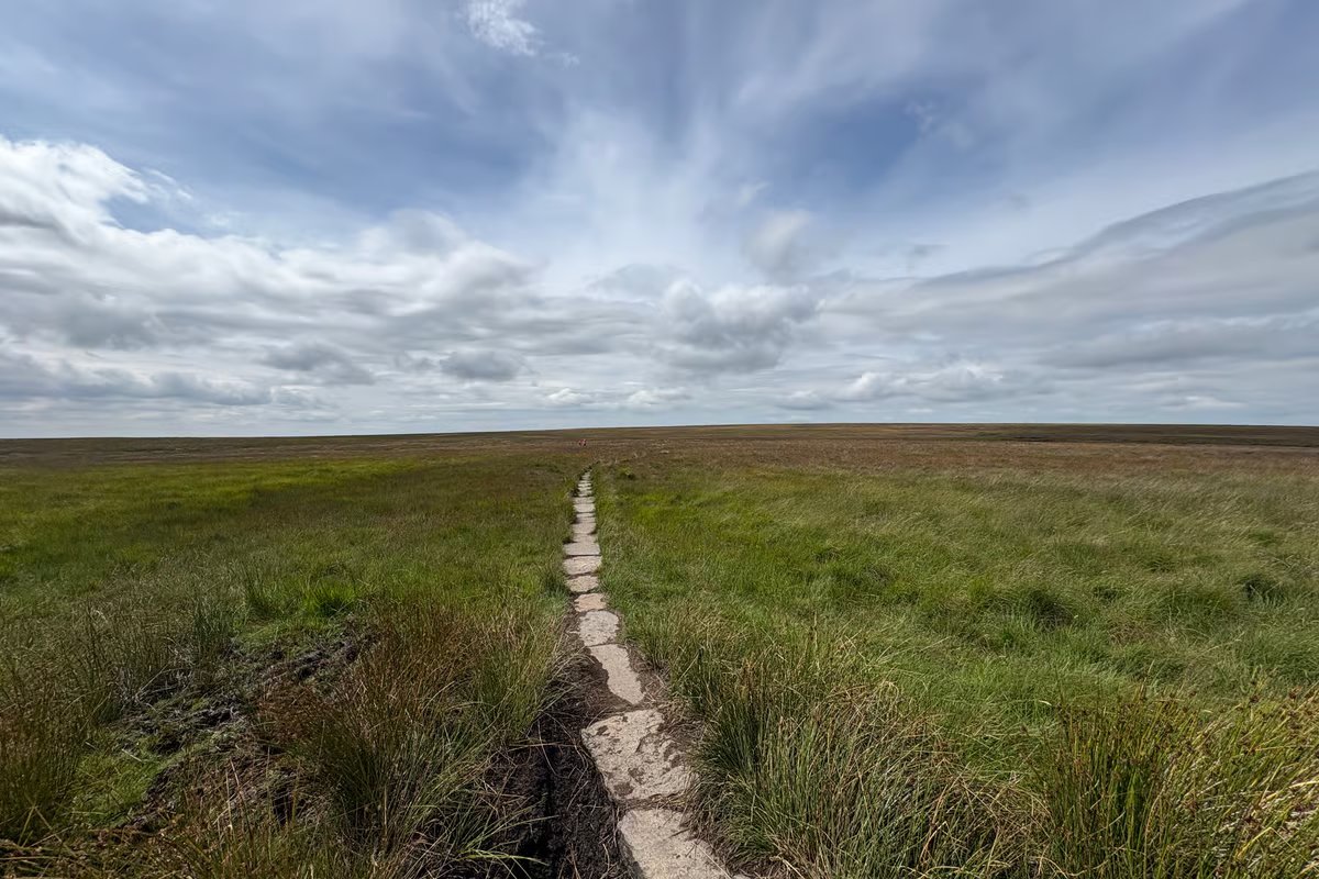Innovative scheme to rewet peat providing protection from fire and flooding