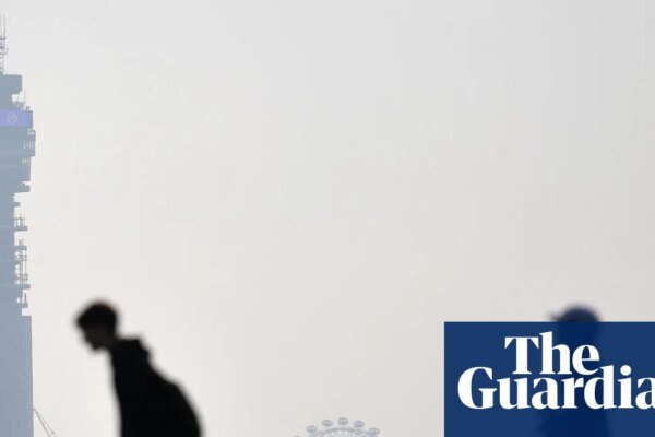 Air pollution affects us all, but there is a way we can breathe easier | Environment