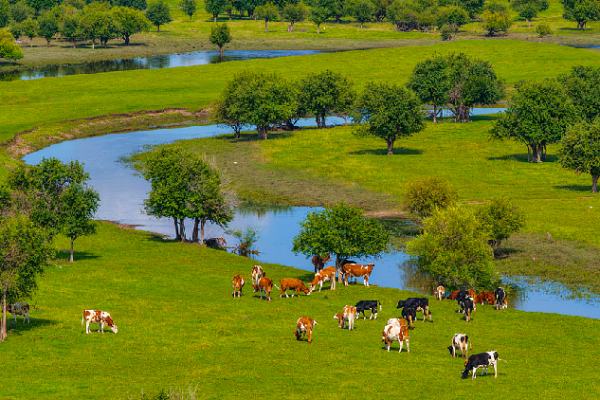 China's Ecological and Environmental Code: What will it change?