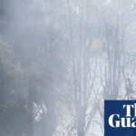 10 urgent climate policies the UK should implement now | Environment policy