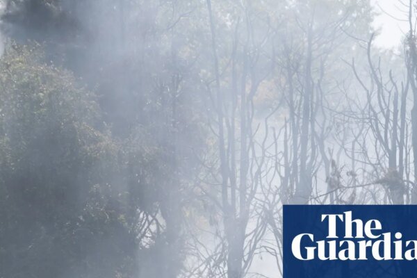 10 urgent climate policies the UK should implement now | Environment policy