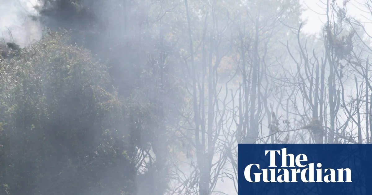 10 urgent climate policies the UK should implement now | Environment policy
