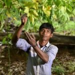 Young Indian farmers using agri-tech could narrow a generational gap | News | Eco-Business