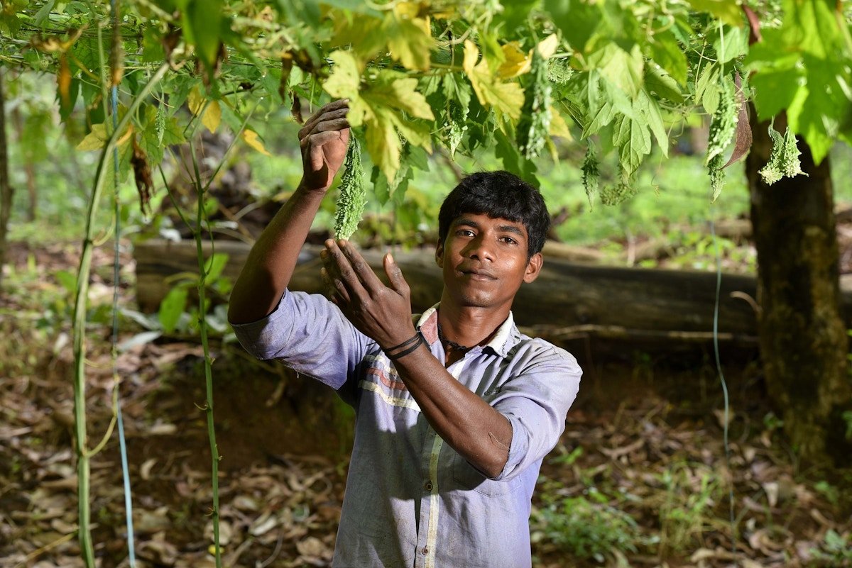 Young Indian farmers using agri-tech could narrow a generational gap | News | Eco-Business