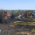 'Significant presence' as New Forest wildfire enters eighth day