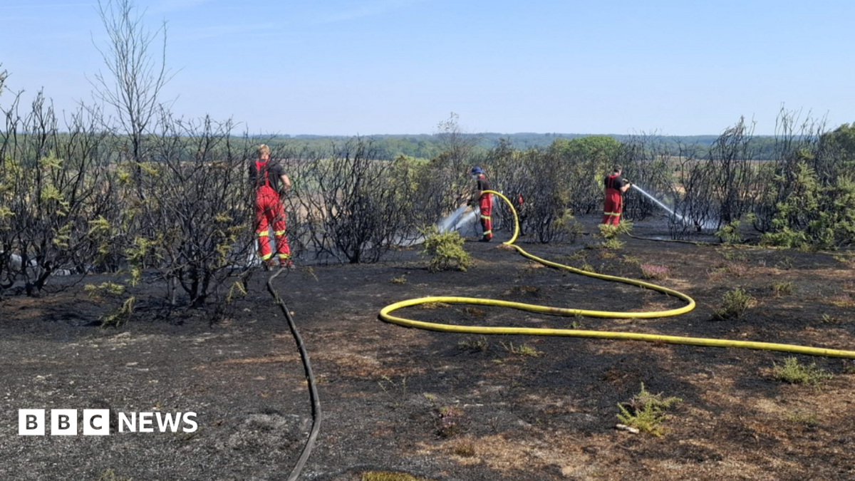 'Significant presence' as New Forest wildfire enters eighth day