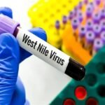 Greece reports increased West Nile virus cases - Health