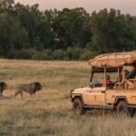 Windows On The Wild Launches New Kenya Itineraries | News