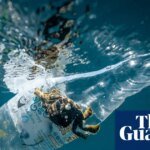 1.3m plastic bottles collected in a day in global volunteer ocean cleanup | Plastics