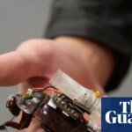 Cyborg cockroaches with tiny syringes designed to join search and rescue teams in major disasters | Robots