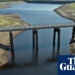 UK government ‘irresponsible’ for not publishing emergency drought plans | Drought