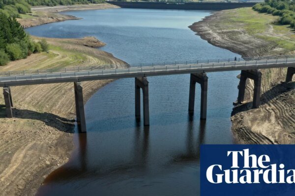 UK government ‘irresponsible’ for not publishing emergency drought plans | Drought