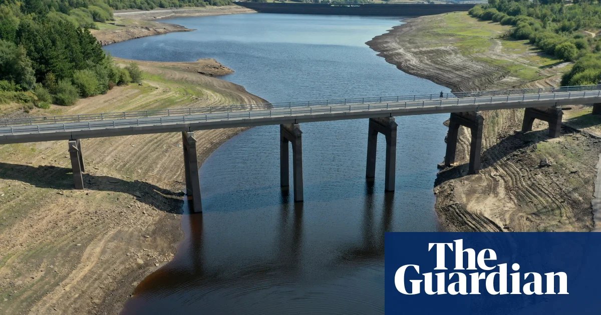 UK government ‘irresponsible’ for not publishing emergency drought plans | Drought