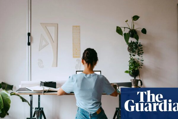 Home comforts: can remote work be better for the environment? | Australia news