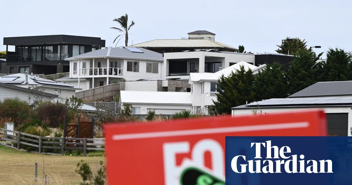 ‘Pent-up demand’: first home buyers chase more loans as property investors step back, data shows | Housing