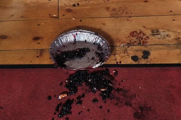 Bear tears through screen, breaks into Colorado business to eat pie