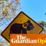 NSW’s koala national park will protect threatened species and cap logging. Could the Greens really block it? | Adam Morton