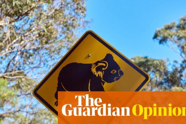 NSW’s koala national park will protect threatened species and cap logging. Could the Greens really block it? | Adam Morton