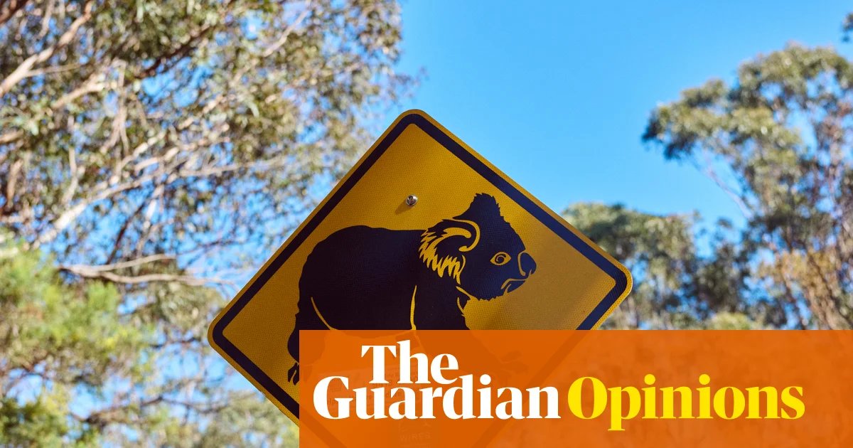NSW’s koala national park will protect threatened species and cap logging. Could the Greens really block it? | Adam Morton
