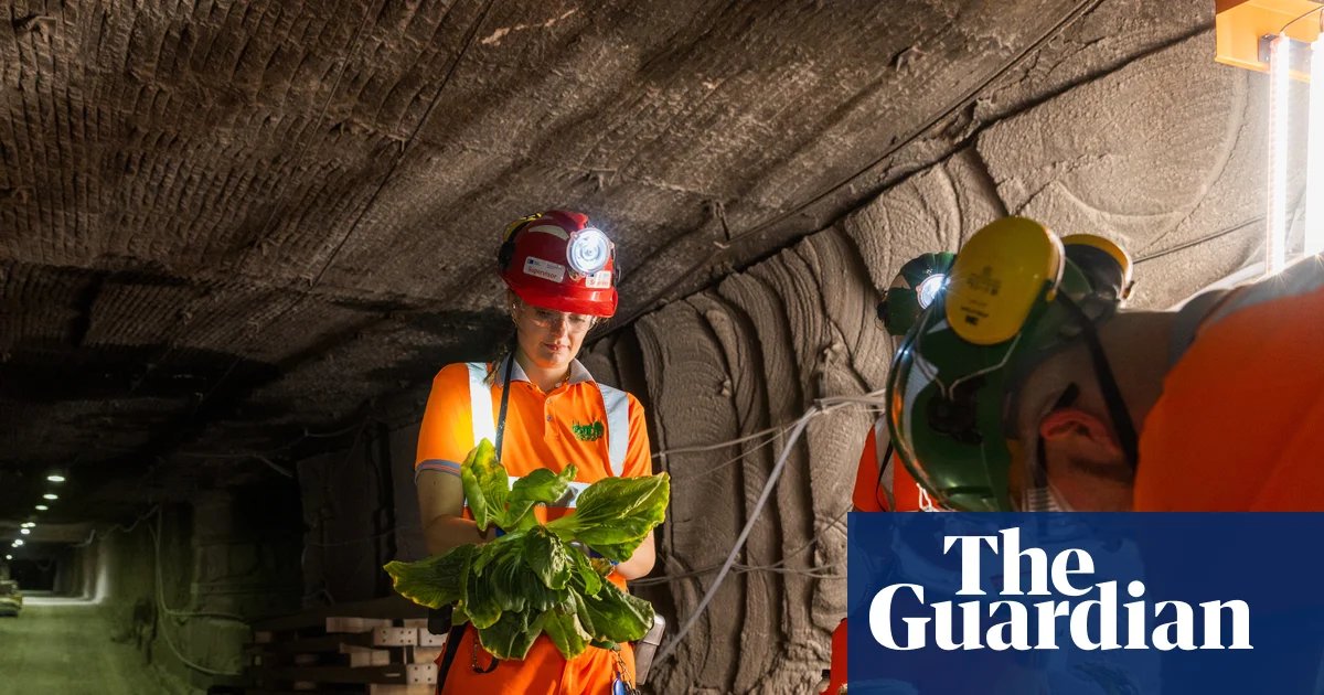 Subterranean salad: underground farmers seek solution to food crisis in disused UK mines | Farming