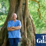 Experience: I brought a bear back to life | Life and style