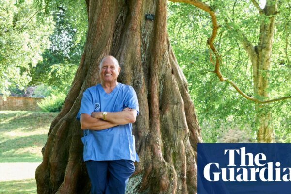 Experience: I brought a bear back to life | Life and style