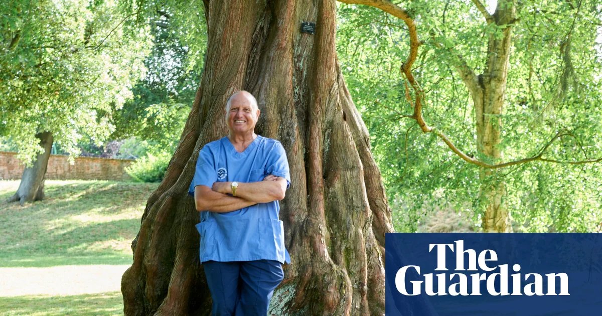 Experience: I brought a bear back to life | Life and style